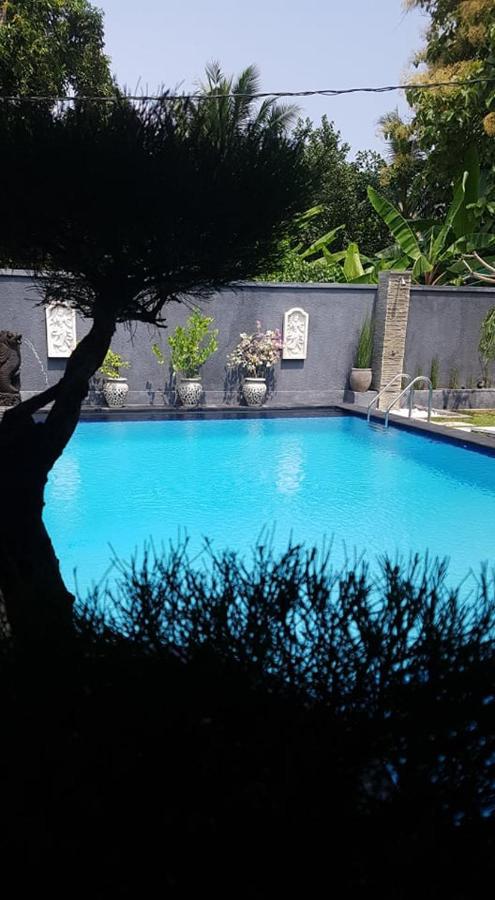 Hotel Mias Jungle House Lovina Esterno foto