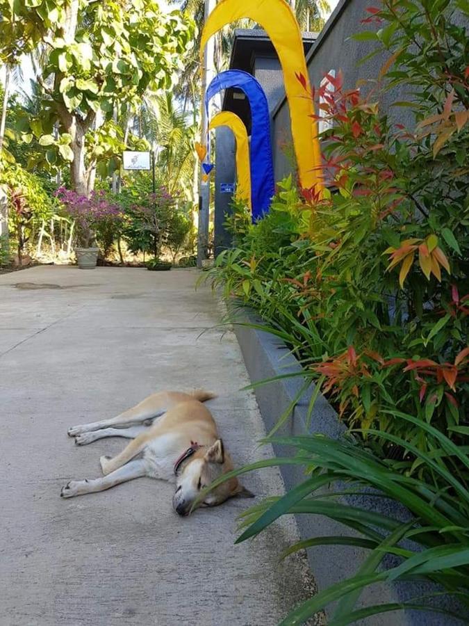 Hotel Mias Jungle House Lovina Esterno foto