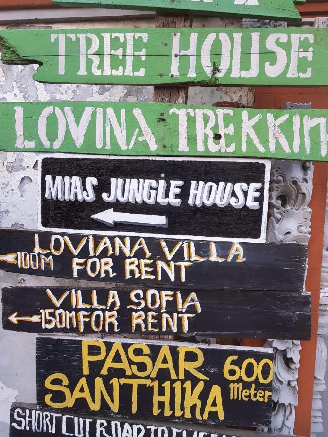 Hotel Mias Jungle House Lovina Esterno foto