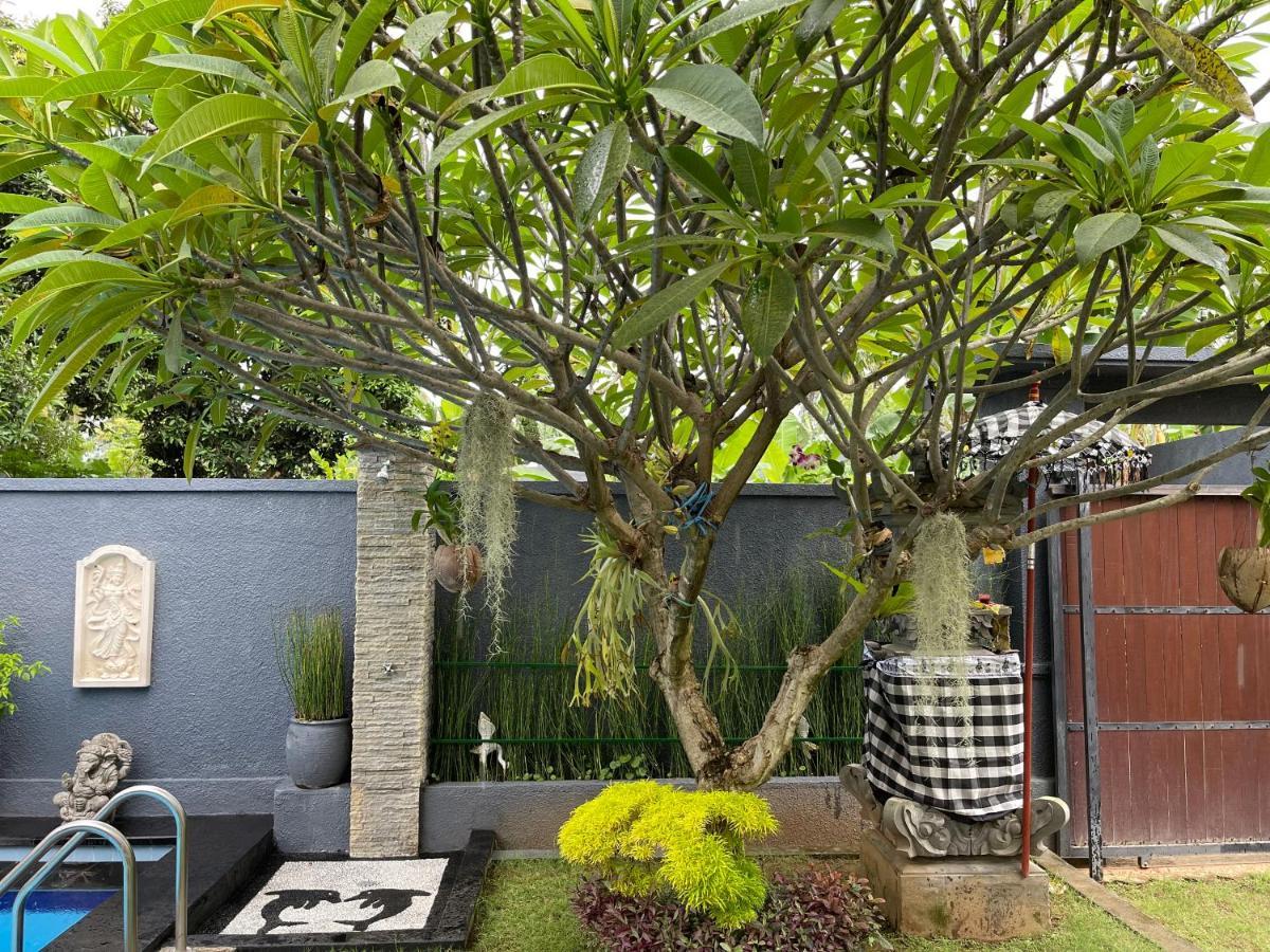 Hotel Mias Jungle House Lovina Esterno foto