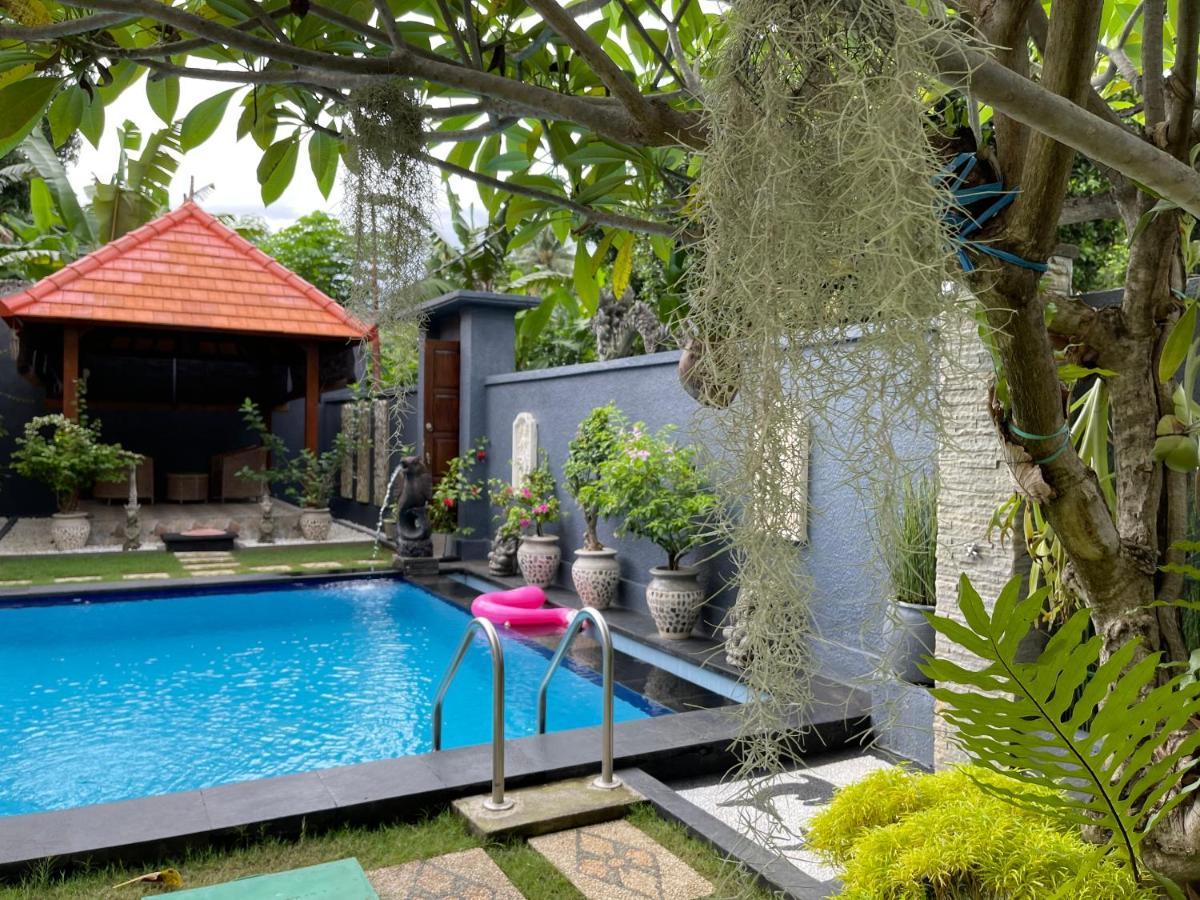 Hotel Mias Jungle House Lovina Esterno foto
